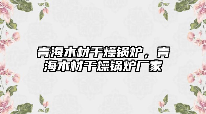 青海木材干燥鍋爐，青海木材干燥鍋爐廠家