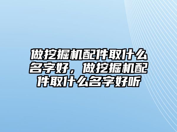 做挖掘機配件取什么名字好，做挖掘機配件取什么名字好聽