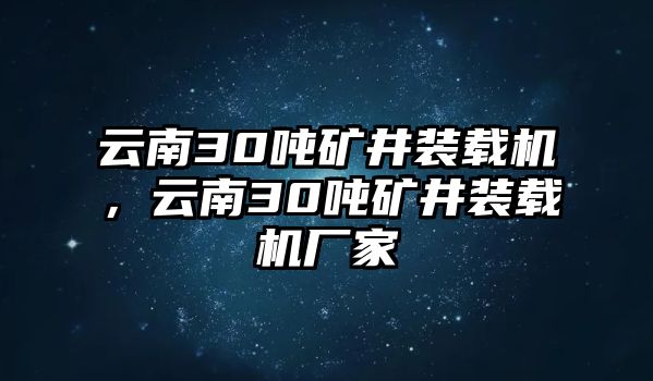 云南30噸礦井裝載機，云南30噸礦井裝載機廠家