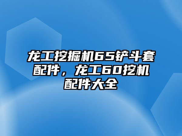 龍工挖掘機(jī)65鏟斗套配件，龍工60挖機(jī)配件大全