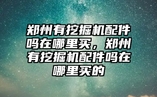 鄭州有挖掘機(jī)配件嗎在哪里買，鄭州有挖掘機(jī)配件嗎在哪里買的