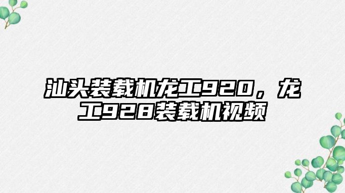 汕頭裝載機龍工920，龍工928裝載機視頻