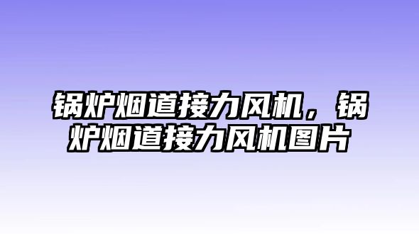 鍋爐煙道接力風機，鍋爐煙道接力風機圖片