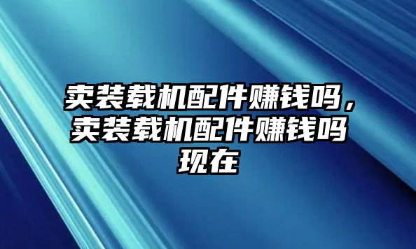 賣裝載機(jī)配件賺錢嗎，賣裝載機(jī)配件賺錢嗎現(xiàn)在