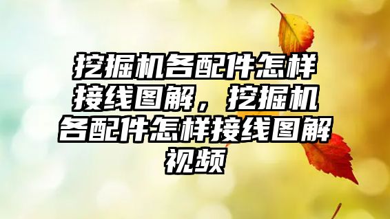 挖掘機各配件怎樣接線圖解，挖掘機各配件怎樣接線圖解視頻