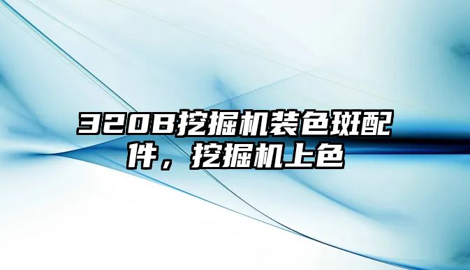 320B挖掘機裝色斑配件，挖掘機上色