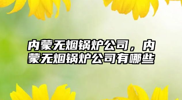 內(nèi)蒙無煙鍋爐公司，內(nèi)蒙無煙鍋爐公司有哪些