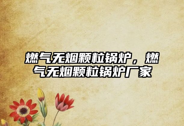 燃?xì)鉄o煙顆粒鍋爐，燃?xì)鉄o煙顆粒鍋爐廠家