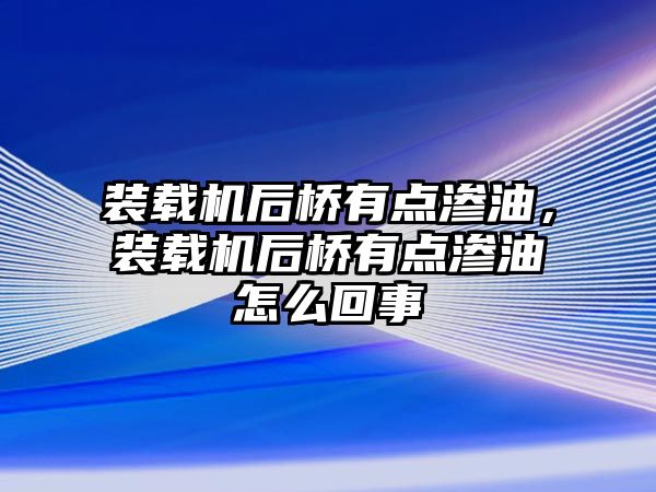 裝載機后橋有點滲油，裝載機后橋有點滲油怎么回事