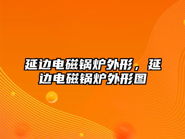 延邊電磁鍋爐外形，延邊電磁鍋爐外形圖