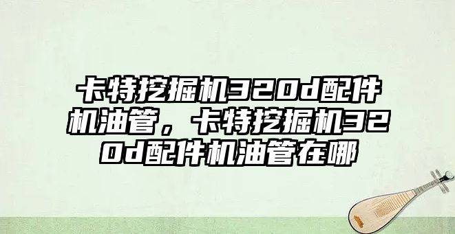 卡特挖掘機(jī)320d配件機(jī)油管，卡特挖掘機(jī)320d配件機(jī)油管在哪