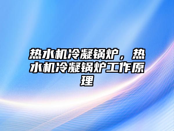 熱水機冷凝鍋爐，熱水機冷凝鍋爐工作原理