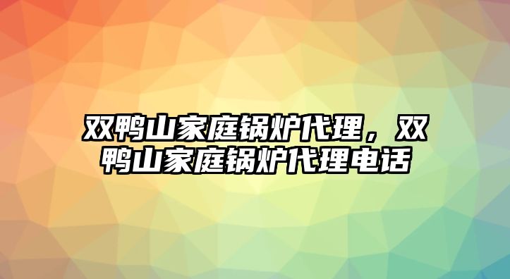 雙鴨山家庭鍋爐代理，雙鴨山家庭鍋爐代理電話