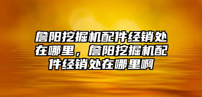 詹陽挖掘機(jī)配件經(jīng)銷處在哪里，詹陽挖掘機(jī)配件經(jīng)銷處在哪里啊