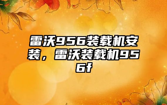 雷沃956裝載機安裝，雷沃裝載機956f