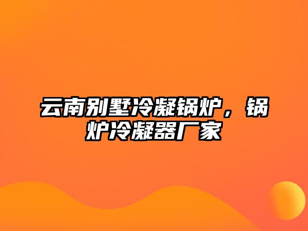 云南別墅冷凝鍋爐，鍋爐冷凝器廠家