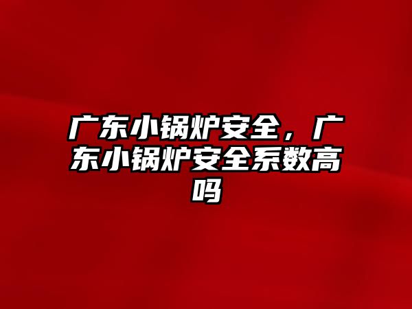 廣東小鍋爐安全，廣東小鍋爐安全系數(shù)高嗎