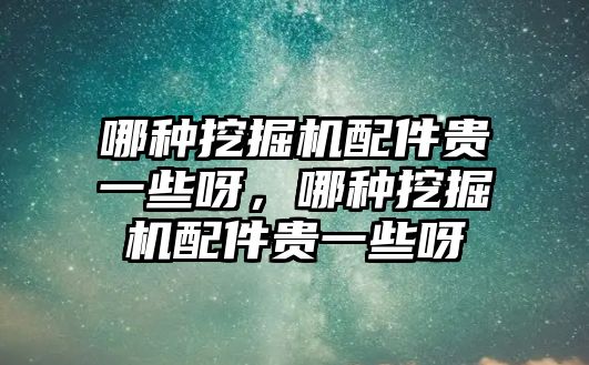 哪種挖掘機配件貴一些呀，哪種挖掘機配件貴一些呀