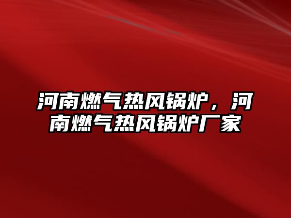 河南燃?xì)鉄犸L(fēng)鍋爐，河南燃?xì)鉄犸L(fēng)鍋爐廠家