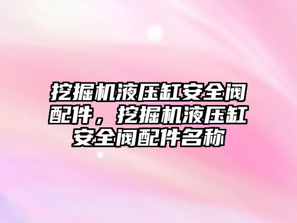 挖掘機液壓缸安全閥配件，挖掘機液壓缸安全閥配件名稱