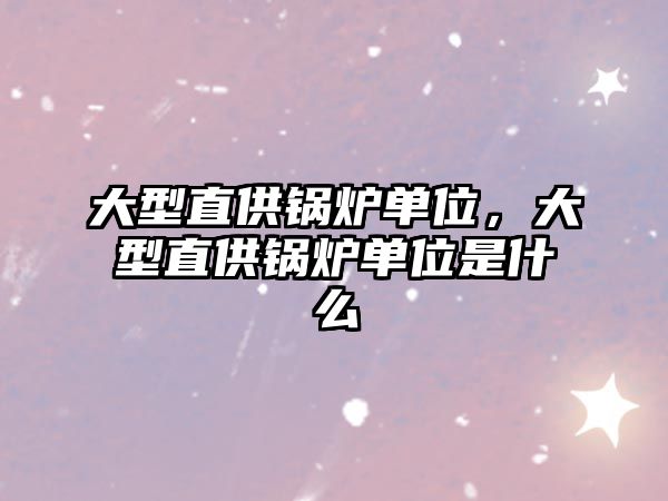 大型直供鍋爐單位，大型直供鍋爐單位是什么