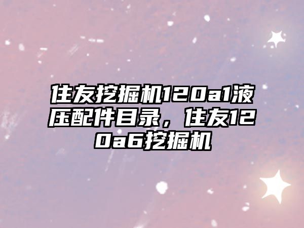 住友挖掘機120a1液壓配件目錄，住友120a6挖掘機