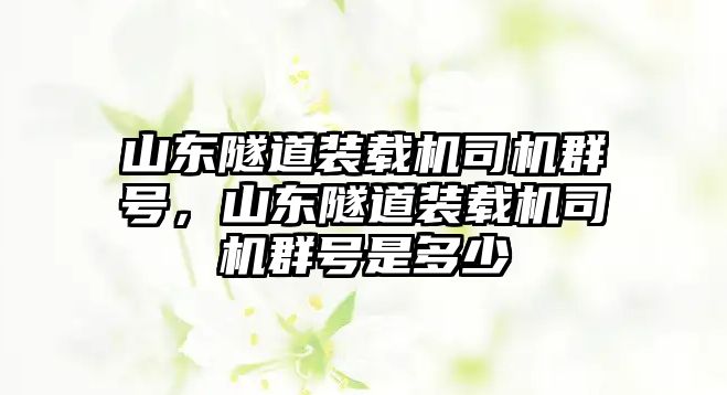 山東隧道裝載機(jī)司機(jī)群號(hào)，山東隧道裝載機(jī)司機(jī)群號(hào)是多少