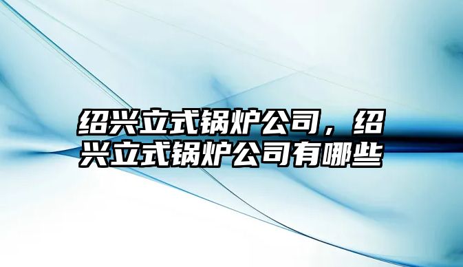 紹興立式鍋爐公司，紹興立式鍋爐公司有哪些