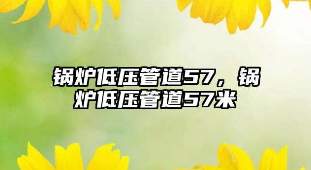 鍋爐低壓管道57，鍋爐低壓管道57米