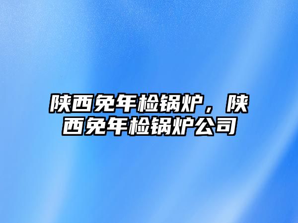 陜西免年檢鍋爐，陜西免年檢鍋爐公司