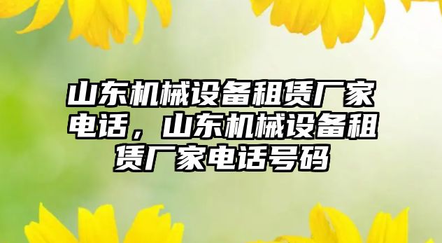 山東機械設(shè)備租賃廠家電話，山東機械設(shè)備租賃廠家電話號碼