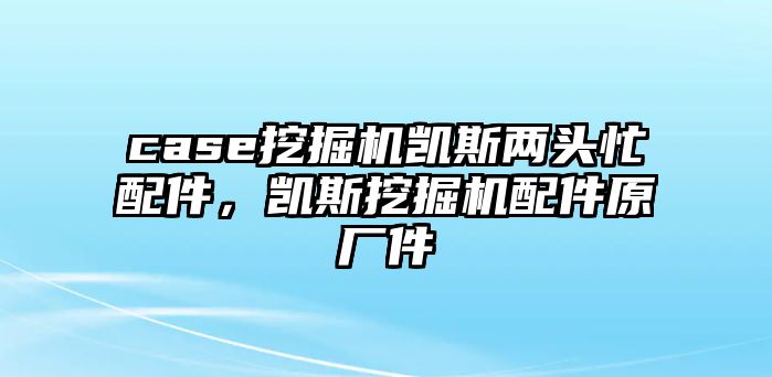 case挖掘機(jī)凱斯兩頭忙配件，凱斯挖掘機(jī)配件原廠件