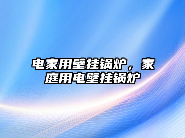 電家用壁掛鍋爐，家庭用電壁掛鍋爐