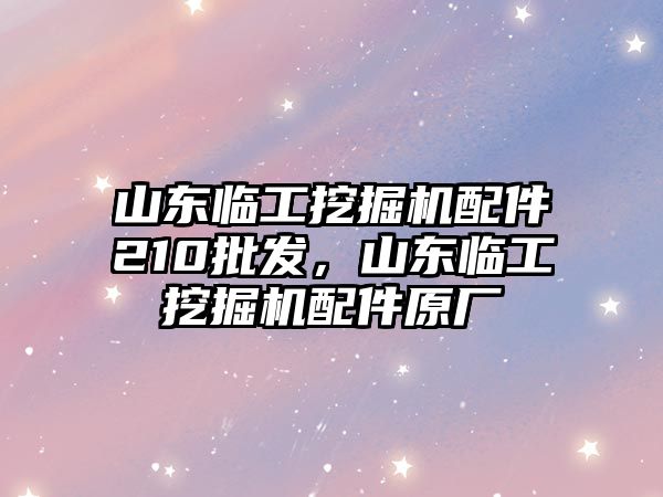 山東臨工挖掘機(jī)配件210批發(fā)，山東臨工挖掘機(jī)配件原廠