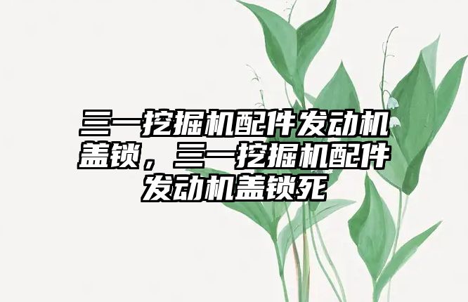 三一挖掘機配件發(fā)動機蓋鎖，三一挖掘機配件發(fā)動機蓋鎖死