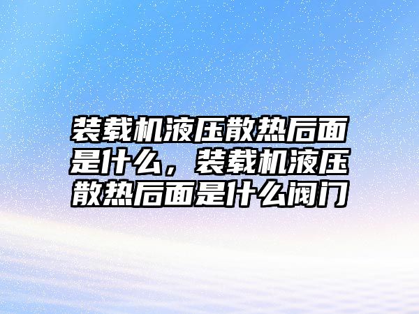 裝載機(jī)液壓散熱后面是什么，裝載機(jī)液壓散熱后面是什么閥門