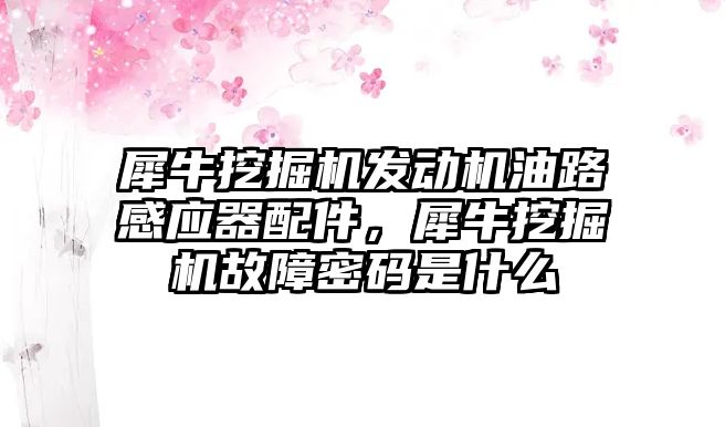 犀牛挖掘機(jī)發(fā)動機(jī)油路感應(yīng)器配件，犀牛挖掘機(jī)故障密碼是什么