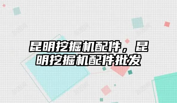 昆明挖掘機配件，昆明挖掘機配件批發(fā)