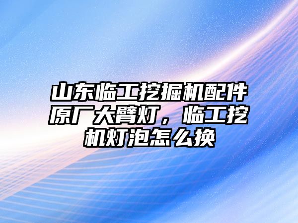 山東臨工挖掘機(jī)配件原廠大臂燈，臨工挖機(jī)燈泡怎么換