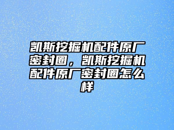 凱斯挖掘機配件原廠密封圈，凱斯挖掘機配件原廠密封圈怎么樣