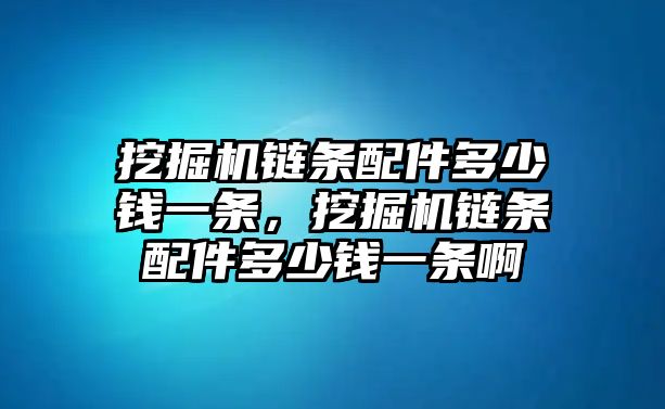 挖掘機鏈條配件多少錢一條，挖掘機鏈條配件多少錢一條啊