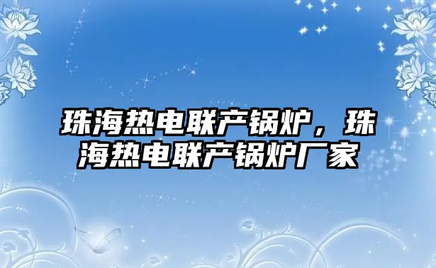 珠海熱電聯(lián)產(chǎn)鍋爐，珠海熱電聯(lián)產(chǎn)鍋爐廠家