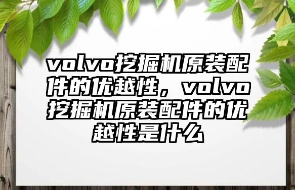 volvo挖掘機原裝配件的優(yōu)越性，volvo挖掘機原裝配件的優(yōu)越性是什么