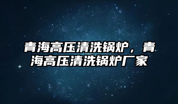 青海高壓清洗鍋爐，青海高壓清洗鍋爐廠家