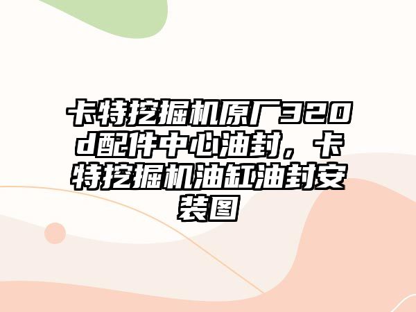 卡特挖掘機原廠320d配件中心油封，卡特挖掘機油缸油封安裝圖