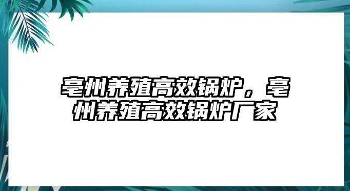 亳州養(yǎng)殖高效鍋爐，亳州養(yǎng)殖高效鍋爐廠家