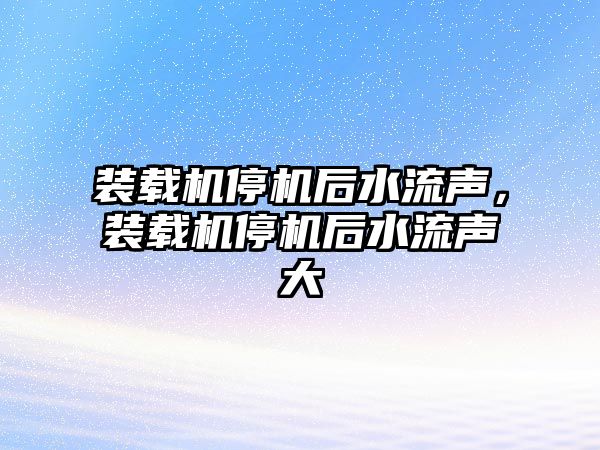 裝載機停機后水流聲，裝載機停機后水流聲大