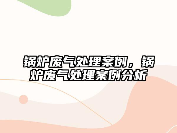 鍋爐廢氣處理案例，鍋爐廢氣處理案例分析