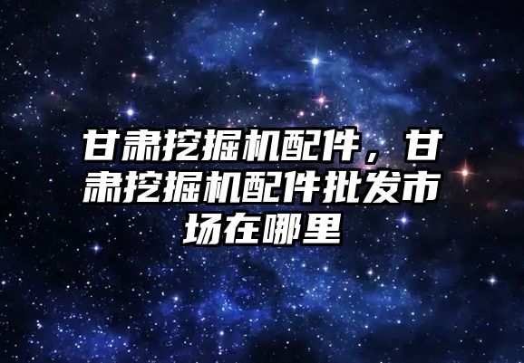 甘肅挖掘機配件，甘肅挖掘機配件批發(fā)市場在哪里