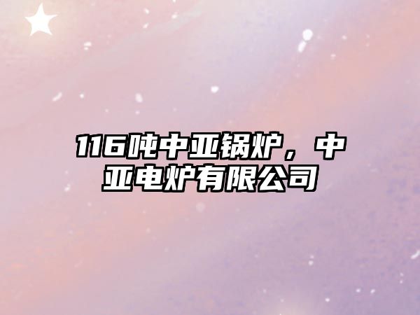 116噸中亞鍋爐，中亞電爐有限公司